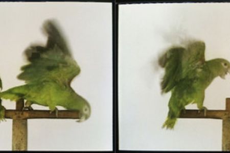 Juan Manuel Echavarría stellt im  Migros Museum fuer Gegenwartskunst aus
