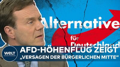 AfD in vier Bundesländern vorne