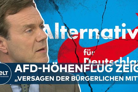 AfD in vier Bundesländern vorne