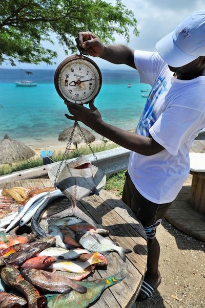 Fischer auf Curacao