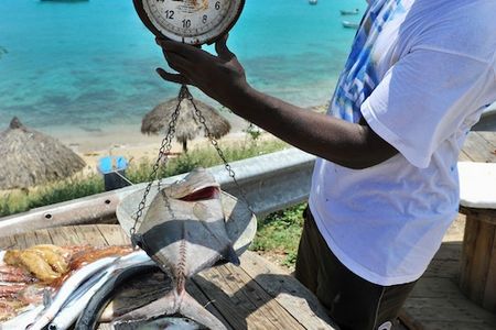 Fischer auf Curacao