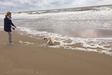 Daenemark ist fuer gross und klein ein Urlaubsparadies, und auch unser Mops Adele, hat hier seinen Spass