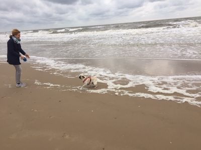 Daenemark ist fuer gross und klein ein Urlaubsparadies, und auch unser Mops Adele, hat hier seinen Spass