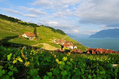 Genferseegebiet mit tollem Ausblick