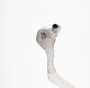 oliver minder ausstellung zuerich