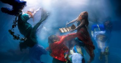 Christy Lee Rogers Werk Die Musen