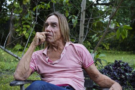 "Call Me Iggy" - Ein Rockstar im Rentnerparadies Florida