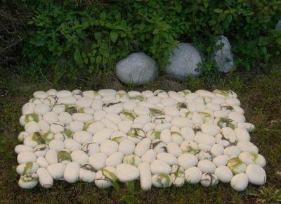 Teppich Wolle Weiss