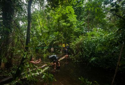 Reisen Mayatrek Wilde Natur