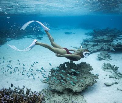 Erfahrene Taucher werden den international bekannten Tauchplatz The Shark Pit lieben