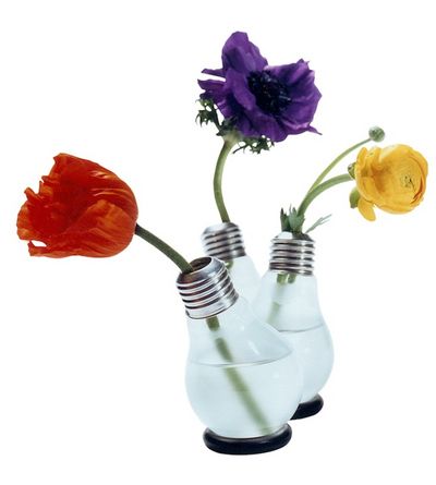 Hätte Edison das gedacht? Eine Original–Glühbirne wird zur originellen Vase. Gerade oder schräg, je nach Belieben, steht die Blühbirne mit Wasser gefüllt sicher auf ihrem schwarzen Gummiring. Toll in der Gruppe oder ganz pur als Einzelobjekt. Verpackt ist die Vase in einem fast Original–Glühbirnenkarton.