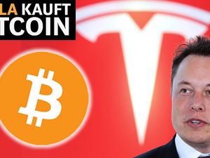 Die Entscheidungen von PayPal und Tesla koennten Branche fundamental veraendern Die Entscheidungen von PayPal und Tesla koennten Branche fundamental veraendern