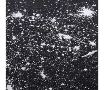 CRACK IN THE REAL ausstellung von KATIE HOLTEN in van horn duesseldorf