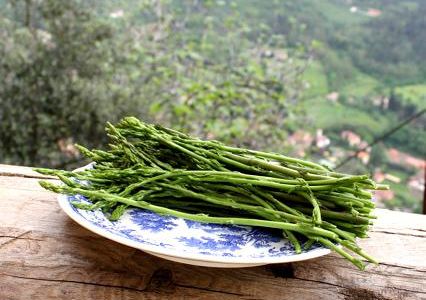 Essen und Trinken Wilder Spargel