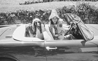 Celebrity Pets - Ein Mini-Pudel und ein Afghane im Alfa Romeo von David Niven