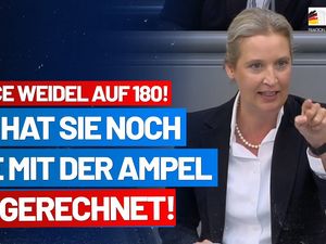 Alice Weidel ist über die Umfrage für die AfD hoch erfreut Alice Weidel ist über die Umfrage für die AfD hoch erfreut