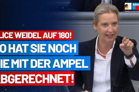 Alice Weidel ist über die Umfrage für die AfD hoch erfreut