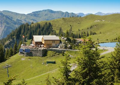 Engelberg Baartschneiden