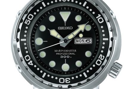 Stil Seiko Marinemaster silber