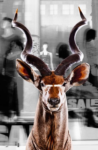 Urban Animals Hirsch - Fotokunst Norbert Schaefer