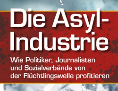 Reich werden mit Armut - Die Asyl-Industrie