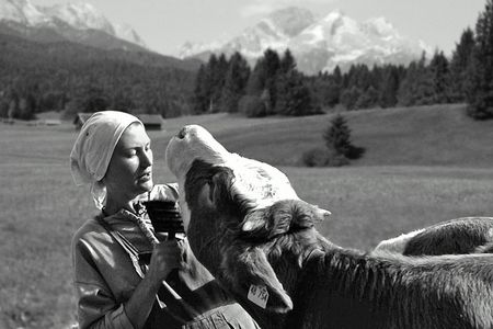 Film Still Uschi mit Kuh
