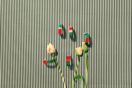 Annette Kelm ausstellung koeln