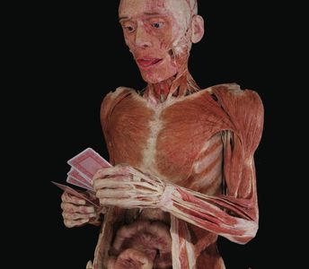 Gunther von Hagens ausstellung