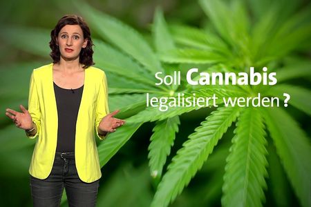 Ein Großteil der Bevoelkerung ist gegenueber den CBD-Anwendungen aufgeschlossen