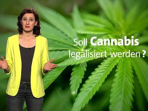 Ein Großteil der Bevoelkerung ist gegenueber den CBD-Anwendungen aufgeschlossen Ein Großteil der Bevoelkerung ist gegenueber den CBD-Anwendungen aufgeschlossen