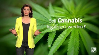 Ein Großteil der Bevoelkerung ist gegenueber den CBD-Anwendungen aufgeschlossen