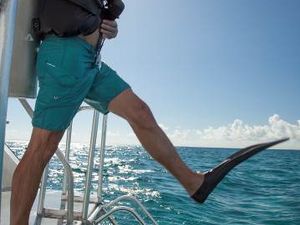 In den 18 Sandals und Beaches Resorts in der Karibik fahren Gaeste mit den neuesten Tauchbooten zu den Hotspots der jeweiligen Insel In den 18 Sandals und Beaches Resorts in der Karibik fahren Gaeste mit den neuesten Tauchbooten zu den Hotspots der jeweiligen Insel