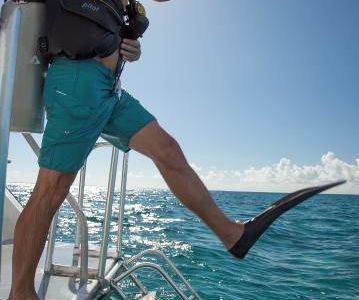 In den 18 Sandals und Beaches Resorts in der Karibik fahren Gaeste mit den neuesten Tauchbooten zu den Hotspots der jeweiligen Insel
