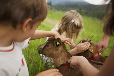 Behutsam lernen neugierige Kinderhände die frisch „geschlüpften“, tierischen Bewohner der „Roter Hahn“-Höfe in Südtirol kennen