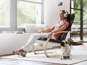 So entspannt geht heute Massage. Der Relaxsessel plus Massage von Medisana macht es moeglich, und auch der Mops ist dabei ganz entspannt So entspannt geht heute Massage. Der Relaxsessel plus Massage von Medisana macht es moeglich, und auch der Mops ist dabei ganz entspannt