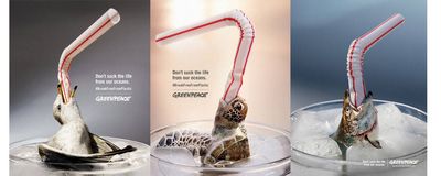 Einwegplastik bringt Meeresbewohner um, am Ende kommen Milliarden Plastikteile zusammen, viele davon landen im Meer