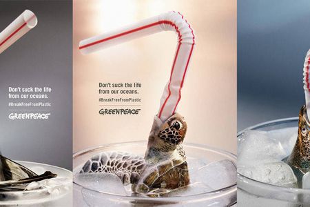 Einwegplastik bringt Meeresbewohner um, am Ende kommen Milliarden Plastikteile zusammen, viele davon landen im Meer