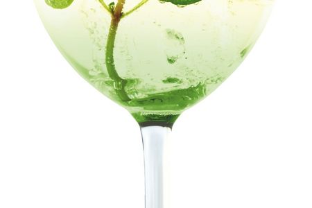 Essen und Trinken SCAVI RAY HUGO