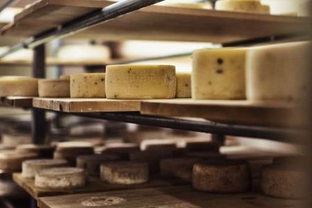 Grau- oder Bergkaese Auf zahlreichen Milchhoefen der Suedtiroler Qualitätsmarke Roter Hahn entstehen gourmettaugliche Naturprodukte