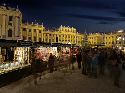 Kultur- und Weihnachtsmarkt vor dem Schloss Schoenbrunn