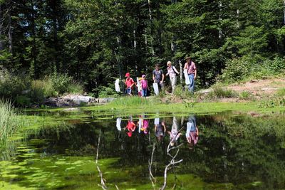 Moor & more am Wilden Kaiser in Tirol verbindet auf unterhaltsame Weise das Erleben unberuehrter Natur mit spannenden Informationen