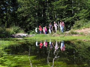 Moor & more am Wilden Kaiser in Tirol verbindet auf unterhaltsame Weise das Erleben unberuehrter Natur mit spannenden Informationen