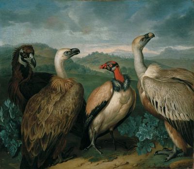 Prinz Eugen von Savoyen - Die Menagerie des Prinzen ausstellung in belvedere Prinz Eugen von Savoyen - Die Menagerie des Prinzen ausstellung in belvedere