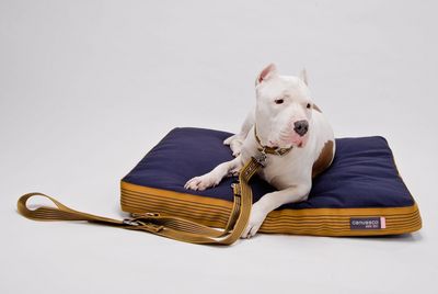 Stil Urban Dogs Hundekissen Stil Urban Dogs Hundekissen