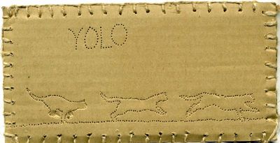 yolo münchen eli diallo