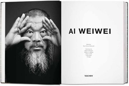Ai Weiwei Art Edition