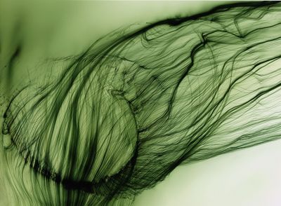 Wolfgang Tillmans - Hasselblad Award-Preistraeger