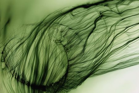 Wolfgang Tillmans - Hasselblad Award-Preistraeger