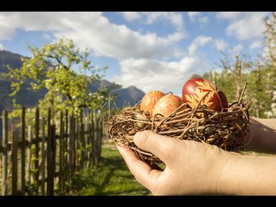 Für den natürlichen Braunton empfehlen die Bäuerinnen der Südtiroler Marke Roter Hahn Zwiebelschalen, Kaffee oder Tee zum Ostereierfärben