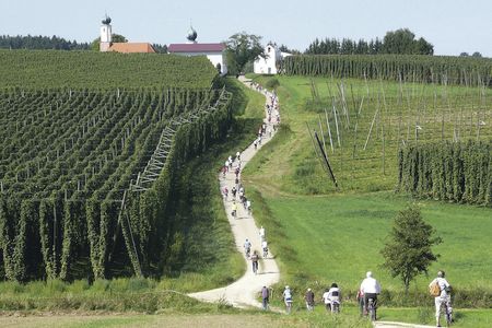 Essen und Trinken Biertour in der Hallertau Koppenwall
